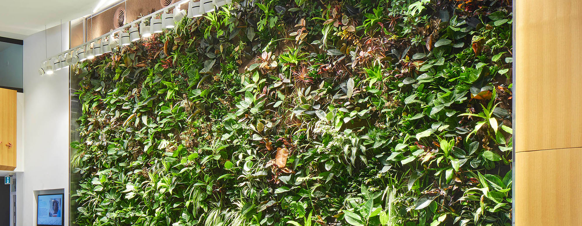 OISE lobby living wall.