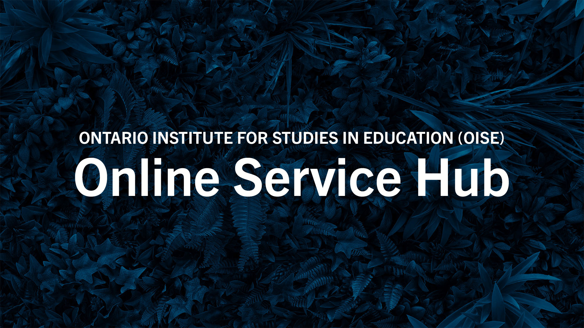 A graphic that reads Ontario Institute for Studies in Education (OISE) Online Service Hub and a background of leaves in blue.