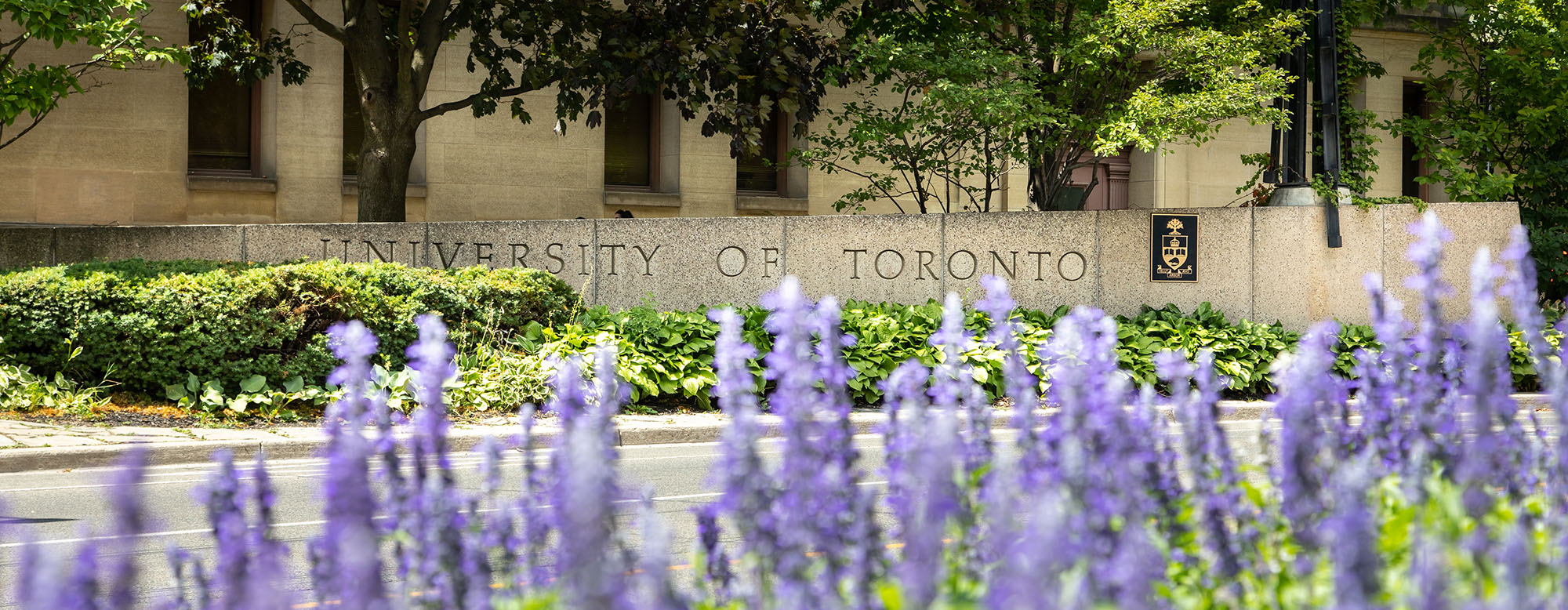 A flower garden in front of a University of Toronto sign.