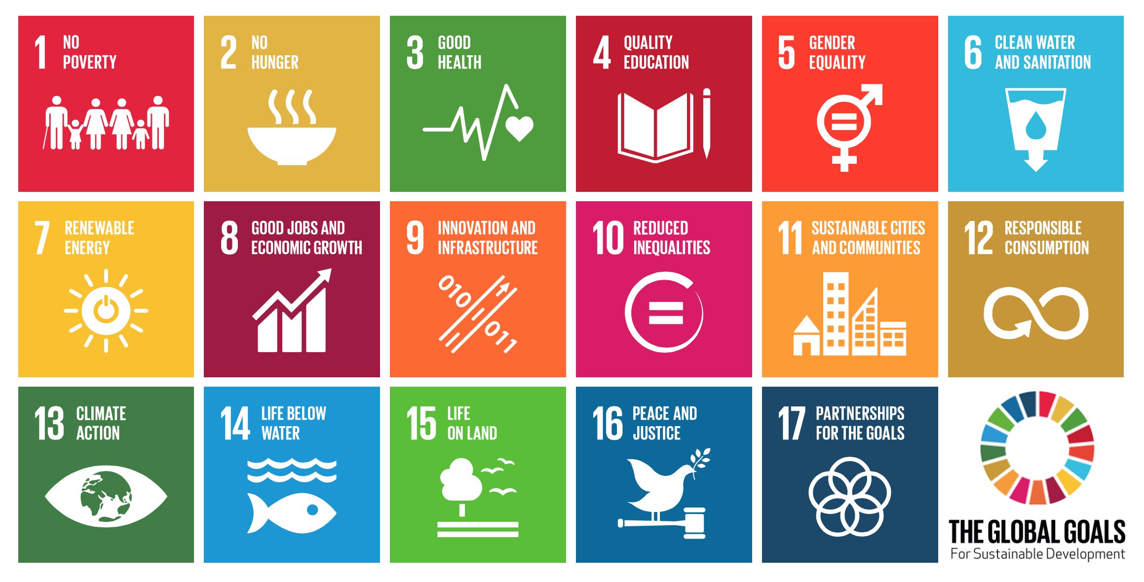 The UN's SDG banner