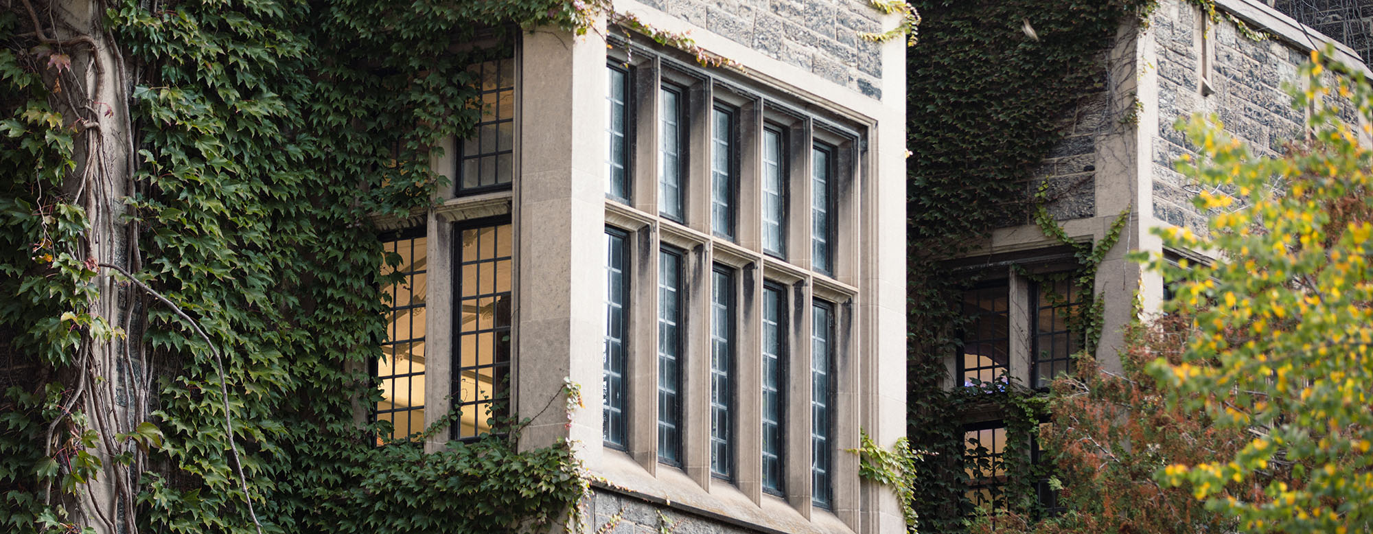 A window in a building at the University of Toronto.