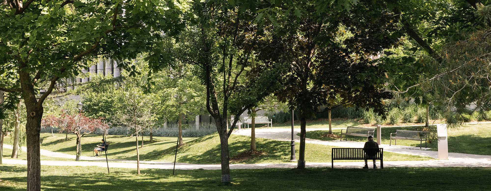 University of Toronto St. George Campus.