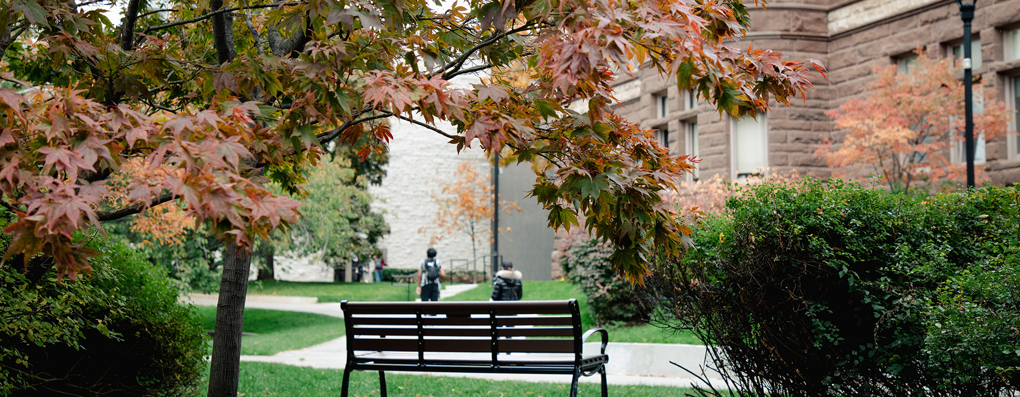 A bench at the St. George U of T campus, with fall leaves surrounding.