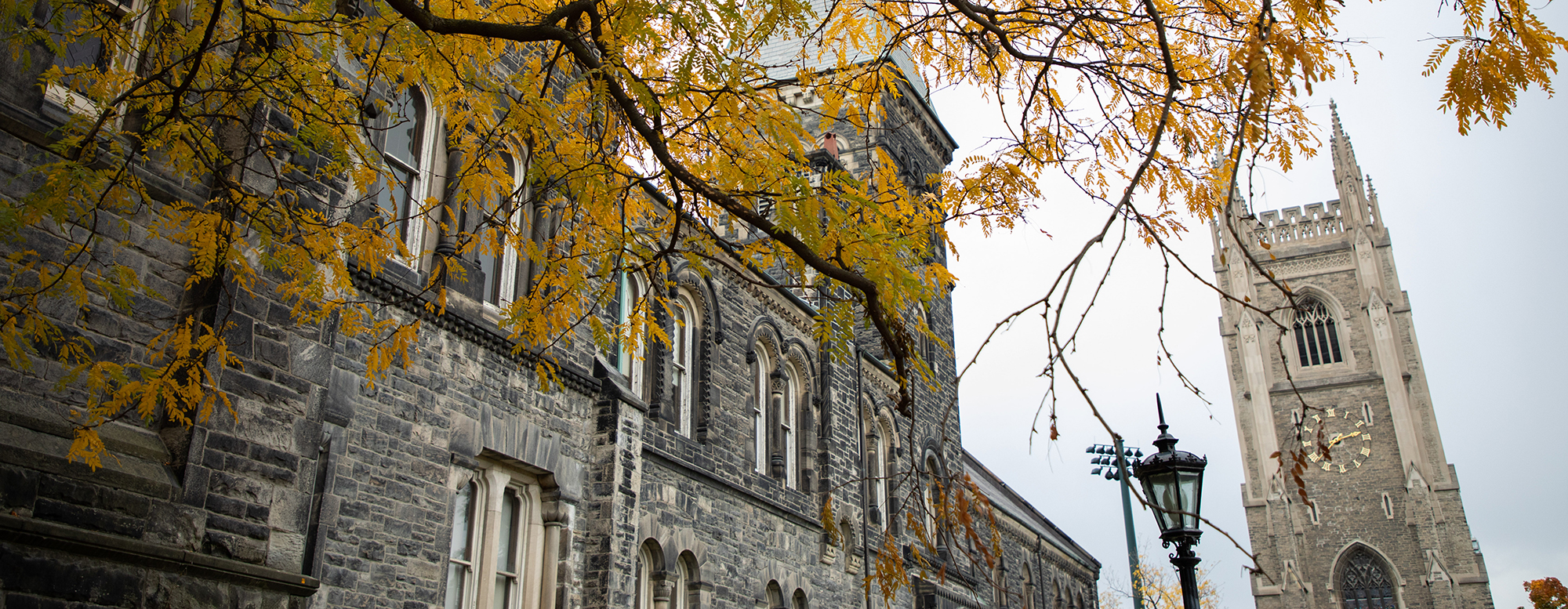 U of T's St. George Campus.