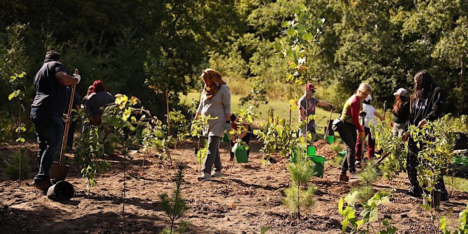 Imagine of peoples planting together in a field.