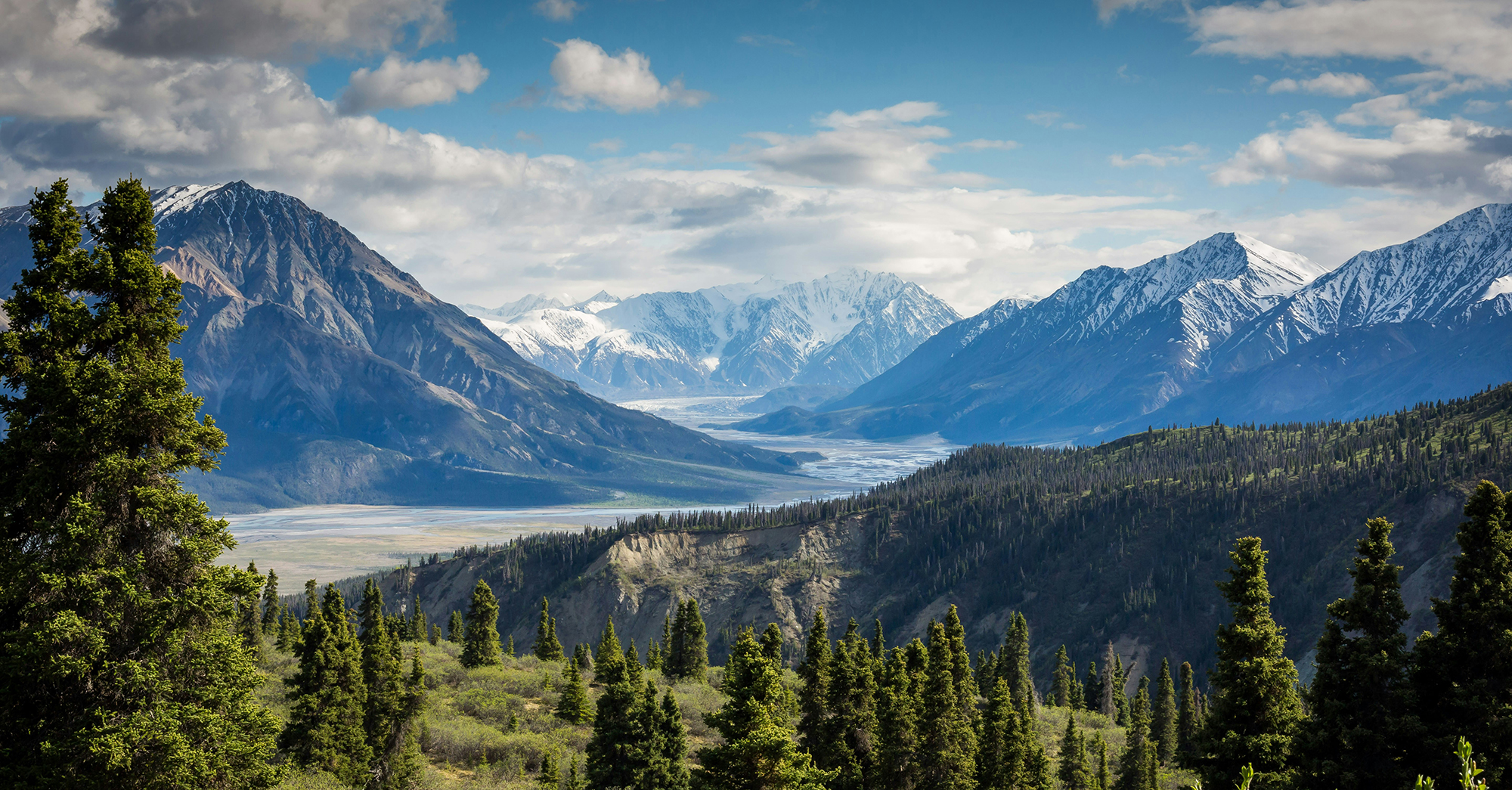 A landscape photo of mountains and trees.