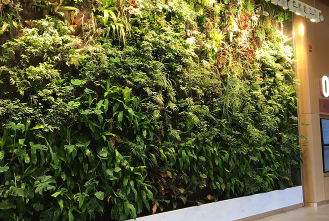 OISE lobby's living wall