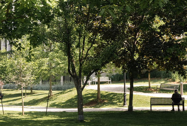 University of Toronto St. George Campus.