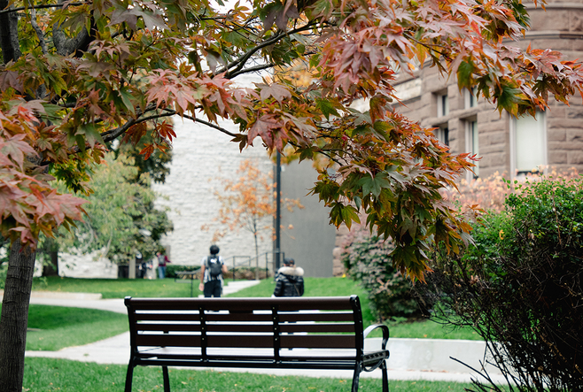 A bench at the St. George U of T campus, with fall leaves surrounding.