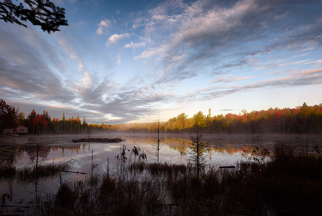 SSHRC jeffrey ansloos impact grant forest pond