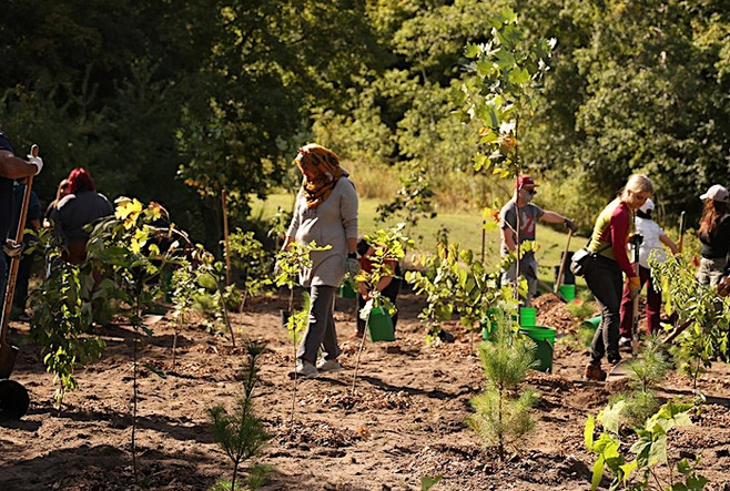 Imagine of peoples planting together in a field.