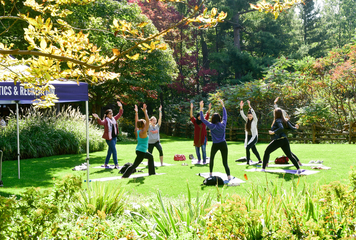 people in a circle stretching in grassy park surrounded by trees 