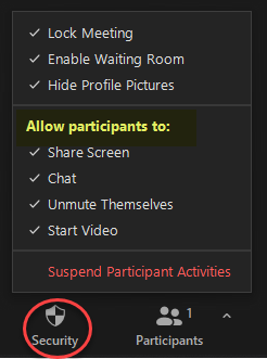 Security menu on Zoom