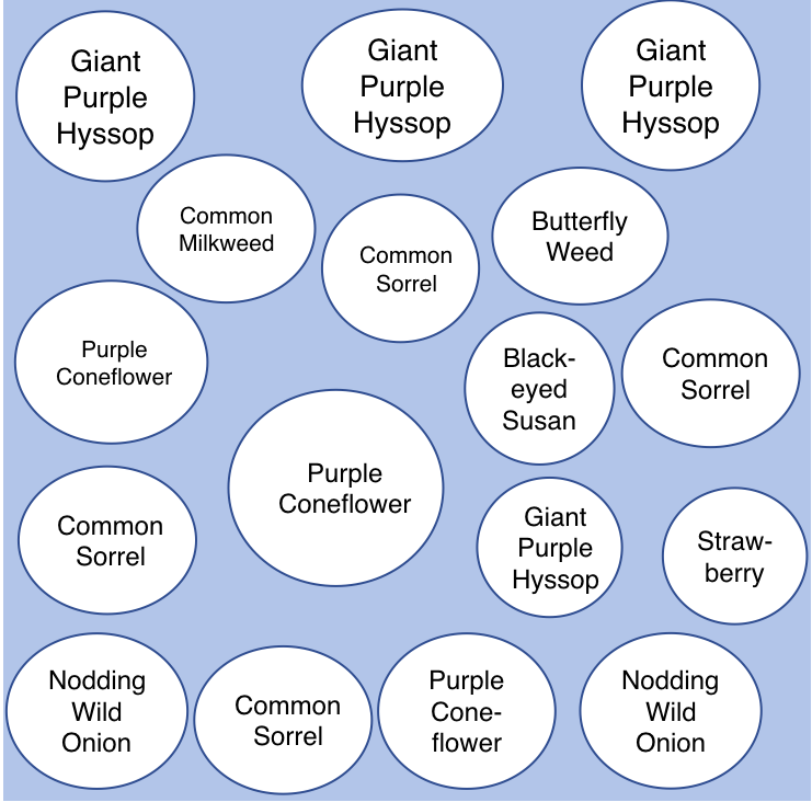 Equity garden map