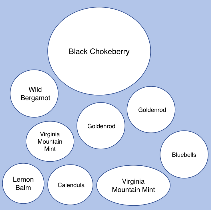 map of holistic garden