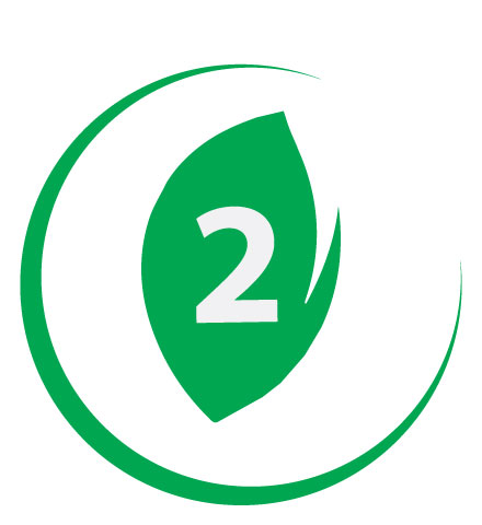 ESE Level 2 Logo