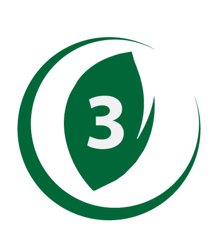 ESE Level 3 Logo