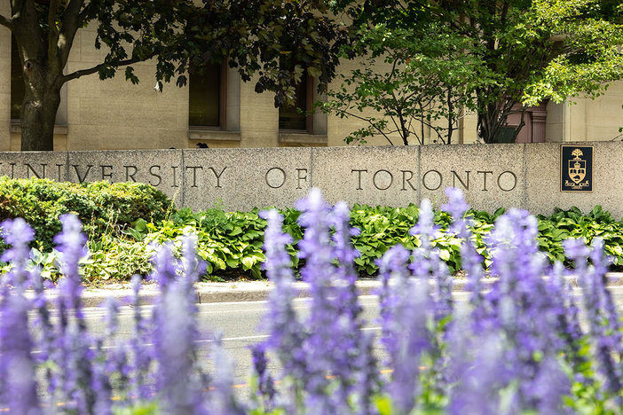 A flower garden in front of a University of Toronto sign.