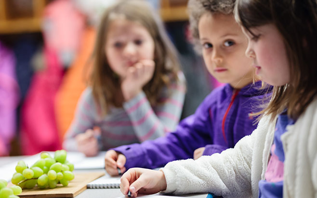 Students drawing a photo of grapes. Grapes are also in front of their drawing papers.