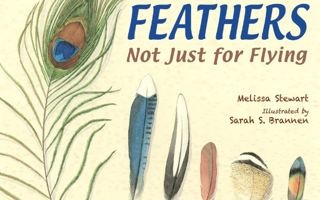 Feathers: Not Just for Flying by Melissa Stewart