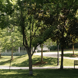 University of Toronto St. George Campus.