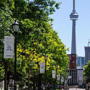 A view of the CN Tower from U of T's St. George Campus.