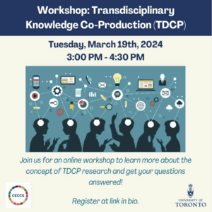 Transdisciplinary Webinar