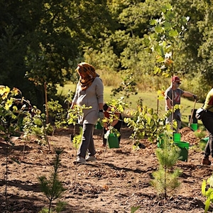 Imagine of peoples planting together in a field.