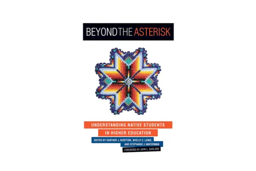 Beyond the asterisk: Understanding Native American college students