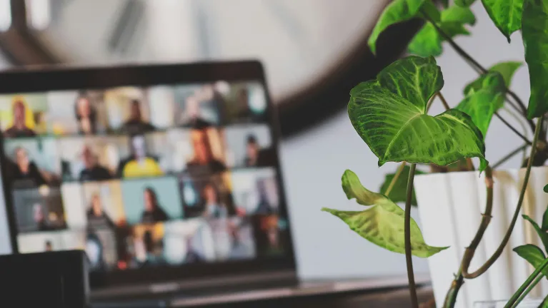 A plant beside a laptop. The laptop shows multiple people on a Zoom call.