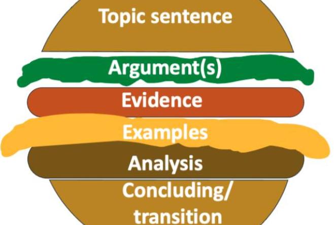 image showing a sandwich where the bread is the topic sentence and the concluding sentence, and in the middle are the arguments, evidence, examples and analysis.